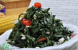 苦菜對人有什么好處？苦菜有什么功效
