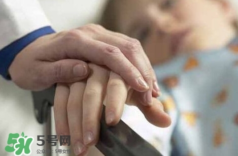 痛風能吃苦菊嗎？苦菊痛風人可以吃嗎