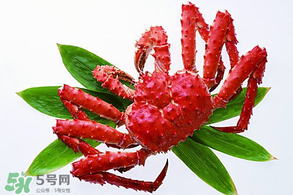 香椿能和海鮮一起吃嗎？香椿和海鮮能一起吃嗎？
