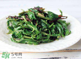 香椿和芹菜能一起吃嗎？香椿可以和芹菜同吃嗎？