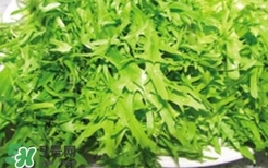 痛風能吃苦菊嗎？苦菊痛風人可以吃嗎