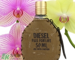 diesel迪塞爾是什么牌子？diesel是哪個國家的？