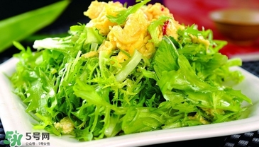 苦菊能和韭菜一起吃嗎？苦菊可以和韭菜一起吃嗎