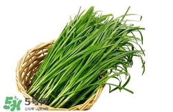 苦菊能和韭菜一起吃嗎？苦菊可以和韭菜一起吃嗎