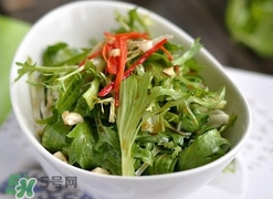 苦菊苦嗎？苦菊苦不苦