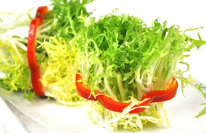 苦菊和什么相克？苦菊不能和什么同吃