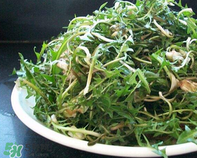 婆婆丁怎么吃？婆婆丁怎么吃最好？