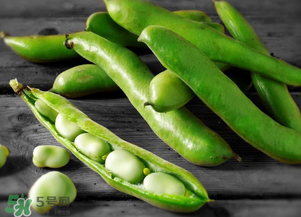 蠶豆什么時候成熟？蠶豆什么時候上市？
