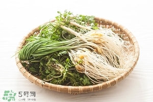 野生蒜的作用與功效 野生大蒜營養價值