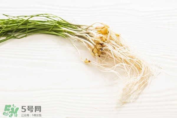 野生蒜的作用與功效 野生大蒜營養價值