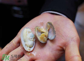 花甲怎么養不會死？花甲怎么養到用第二天？
