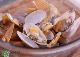 花甲怎么養不會死？花甲怎么養到用第二天？