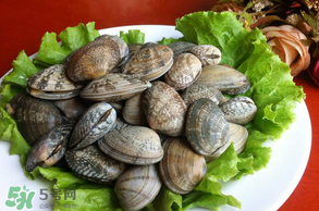 花甲不開口怎么辦？怎么讓花甲開口？