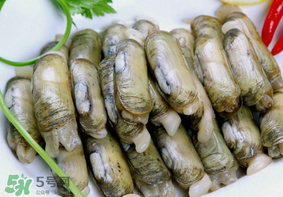 蟶子不能和什么一起吃？蟶子和什么不能一起吃？