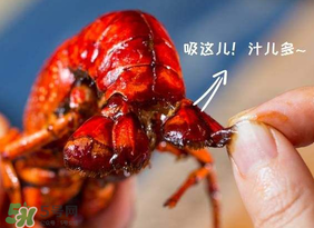 吃油燜大蝦會胖嗎？油燜大蝦的熱量是多少？