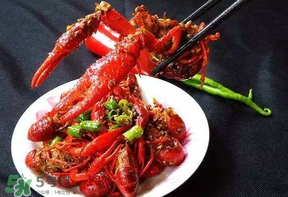 龍蝦什么時(shí)候上市？龍蝦幾月份上市？