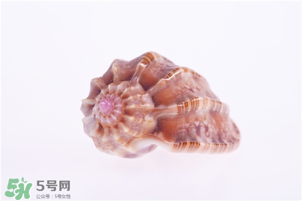 海螺的尾部能吃嗎？海螺的尾巴可以吃嗎