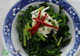 灰灰菜有什么功效？灰灰菜有什么營養價值