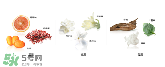 郎朗香水是什么牌子？郎朗香水是什么檔次？