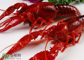 龍蝦發苦怎么回事？龍蝦發苦能吃嗎？
