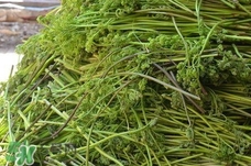 蕨菜干怎么泡發?蕨菜干如何泡發?