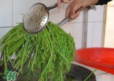 蕨菜干怎么泡發?蕨菜干如何泡發?