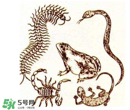 五毒日是哪幾天？2017年五毒日是哪幾天？