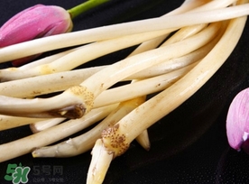 藕帶什么時候有？藕帶什么時候上市