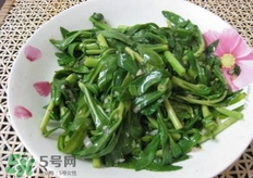 養心菜哪些人不能吃?養心菜哪些人可以吃?
