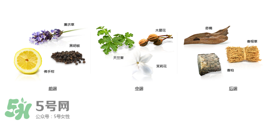 郎朗香水是什么牌子？郎朗香水是什么檔次？