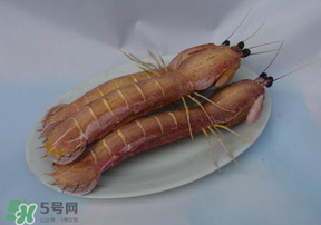 皮皮蝦死了還能吃嗎？皮皮蝦死了多久還能吃？