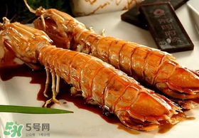 蝦爬子不能和什么一起吃？吃完蝦爬子不能吃什么？
