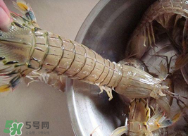 皮皮蝦可以放冰箱嗎？皮皮蝦能放冰箱保存嗎？
