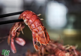 熟皮皮蝦隔夜還能吃嗎？煮熟的皮皮蝦隔夜能吃嗎？