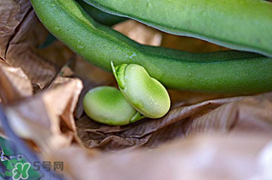 蠶豆可以放冰箱嗎？新鮮蠶豆可以放冰箱嗎？