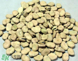 蠶豆長蟲還能吃嗎？蠶豆怎么保存不長蟲？