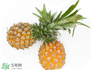 皮皮蝦和菠蘿能一起吃嗎？吃完皮皮蝦能吃菠蘿嗎？