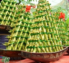 富貴竹有幾個(gè)品種？富貴竹有種子嗎？