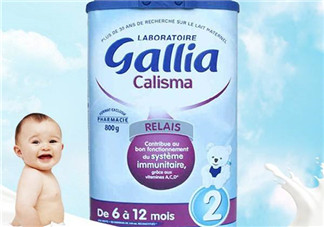 gallia佳利雅奶粉怎么樣？gallia佳利雅奶粉好嗎？