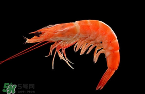 基圍蝦不能和什么一起吃？基圍蝦和什么不能一起吃？