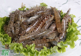 基圍蝦不能和什么一起吃？基圍蝦和什么不能一起吃？