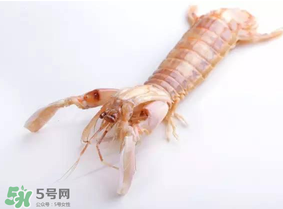 皮皮蝦什么時候有籽？皮皮蝦幾月份有籽？