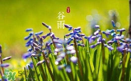 谷雨養生吃什么？谷雨養生常識