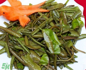 莼菜是什么菜？莼菜是荷葉嗎？