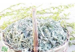 白蒿要焯水嗎？白蒿要不要焯水？