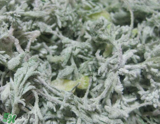 白蒿不能和什么一起吃？白蒿不能與什么同食？