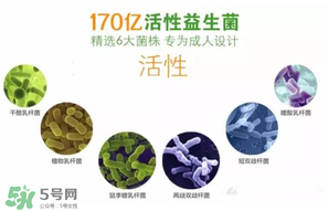 益生菌哪個牌子好？哪個牌子的益生菌好？
