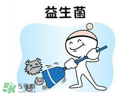 益生菌哪個牌子好？哪個牌子的益生菌好？