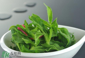 冰草可以放冰箱嗎？冰草能用冰塊保存嗎？