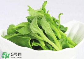 冰草多少錢一斤？非洲冰草多少錢一斤？